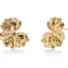 Edblad korvakorut Gerana Studs L, Gold pleated