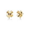 Edblad korvakorut Lucky Studs Gold, Gold pleated