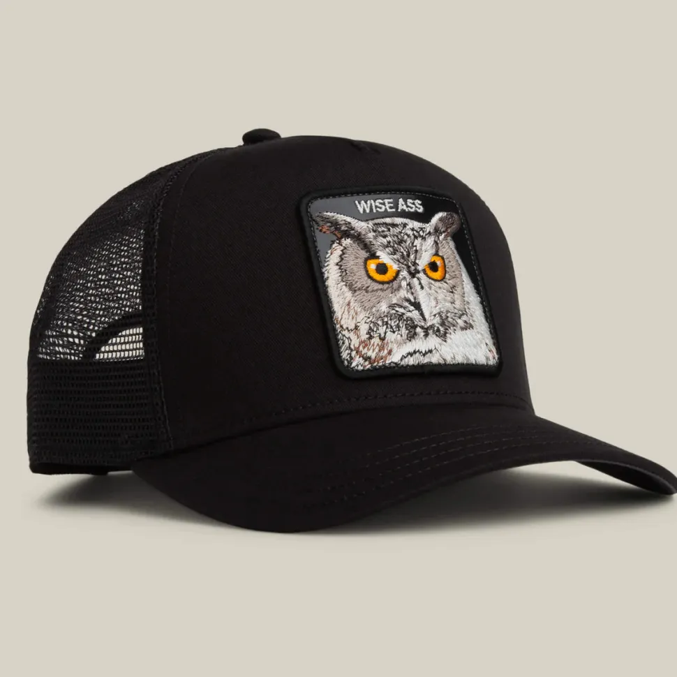 Goorin Bros lippis Wise Ass Owl Trucker, musta