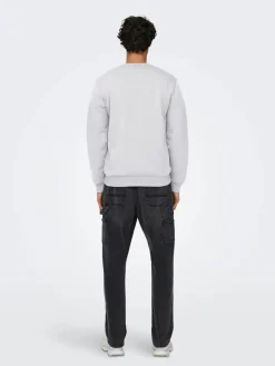 Only and Sons miesten collegepaita ONSCERES Crew Neck, vaaleanharmaa