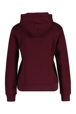 REG TONAL SHIELD ZIP HOODIE VIININPUNAINEN